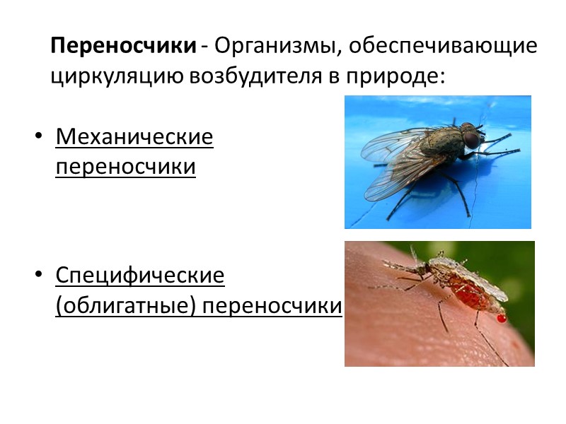 Механизмы и пути передачи  I. Контактный механизм Контактно-бытовой путь Контактно-половой путь  